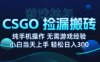 8月最新游戲搬磚，CSGO純掛G，不需要玩游戲，實(shí)現(xiàn)真掛G，月入1W+【揭秘】
