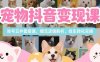 寵物抖音變現課，賬號五件套搭建，爆流邏輯解析，掛車轉化實操