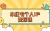 小紅書個人變現課：精準人設定位+爆款選題拆解，教你打造百萬流量賬號秘籍