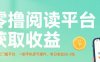 零擼閱讀平臺獲取收益，最新無門檻平臺，一部手機即可操作，單日收益50-3張【揭秘】