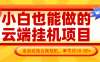 小白也能做的云端掛機項目無需操作，云端掛機，支持批量，單號月50-100，完全解放雙手