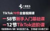 TikTok全套視頻課，新手入門+進階課，短視頻ADS-GMV MAX投流打品，日銷破1000單打法