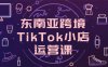 東南亞跨境TikTok小店運營課，掌握店鋪設置與流量轉化核心技巧