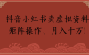 抖音小紅書賣虛擬資料矩陣操作、月入十萬!