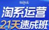 淘系運營21天速成班(更新25年12月)，0基礎輕松搞定淘系運營，不做假把式