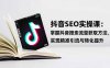 抖音SEO實戰引流課：掌握抖音搜索流量獲取方法，實現精準引流與轉化提升