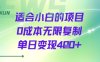 適合小白的項目0成本無限復制單日變現4張+