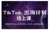 TikTok跨境電商新手起號(hào)與運(yùn)營全攻略，0基礎(chǔ)做跨境電商TIKTOK新手起號(hào)，小店入駐，操作指南全流程