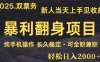 日入2000+  娛樂信息差項目  最佳入手時期   新人當天上手見收益