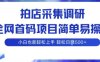 拍店采集調研，全網首碼項目，簡單易操作， 小白也能輕松上手，多賬號操作，輕松日入5張【揭秘】