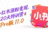小紅書漲粉變現120天特訓營Pro版11.0：從0到1掌握平臺運營,內容制作和變現