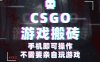 CSGO游戲掛機撿漏，單日掃貨500+，年底小高峰上車可吃肉，手機即可操作…