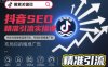 抖音SEO精準引流實操課，抓住抖音搜索藍海市場，布局你的精準廣告
