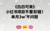 小白可來 小紅書項目不需要剪輯 單月3w不是問題