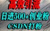 怎么打創業粉？CSDN又一個你不知道的打粉引流神秘平臺，單人日引500+精準流量