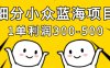細分小眾藍海項目，一單利潤3張，每月收入穩定過1w+
