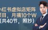 小紅書虛擬店矩陣項目，照抄照做，月搞1W+(共40節)