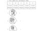 英語(yǔ)（基礎(chǔ)卷01）-2024-2025學(xué)年六年級(jí)英語(yǔ)下學(xué)期期中素養(yǎng)測(cè)評(píng)（人教PEP版）