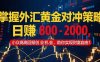 掌握外匯黃金對沖策略，日賺 800 – 2000，小眾高回報創業機會，助你實…