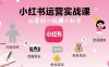 小紅書運營實戰課，從零到一玩賺小紅書
