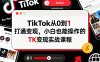 TikTok從0到1打通變現(xiàn)，小白也能操作的TK變現(xiàn)實(shí)戰(zhàn)課程