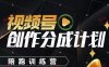 視頻號創(chuàng)作分成計(jì)劃陪跑訓(xùn)練營，手把手教會(huì)你如何制作視頻，細(xì)水長流型項(xiàng)目