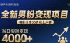 全新男粉變現(xiàn)項(xiàng)目，精準(zhǔn)引流35歲以上人群，當(dāng)日實(shí)測(cè)變現(xiàn)1k+
