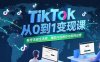 TikTok從0到1變現(xiàn)課，賬號(hào)注冊(cè)全流程，爆款內(nèi)容制作與矩陣運(yùn)營(yíng)