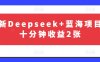 最新Deepseek+藍海項目，十分鐘收益2張
