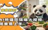 Ai熊貓吃飯爆火視頻，條條原創，簡單易上手