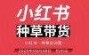 小紅書種草帶貨實訓營9月8日杭州線下課，全程錄音+字幕，全網唯一小紅書實戰營