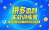 拼多多盈利實戰訓練營，強付費玩法深度解析，2025運營技巧合集-更新6月