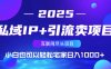 私域IP+引流賣項目，小白也可以做到輕松宅家日入1000+