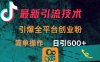 最新引流方法，引爆全平臺的一個創(chuàng)業(yè)粉，簡單操作日引300+