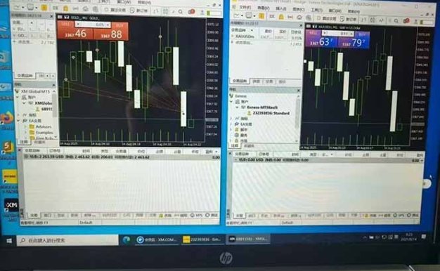 美金對(duì)沖創(chuàng)業(yè)項(xiàng)目，日收益1000-3000，小眾暴力項(xiàng)目穩(wěn)定運(yùn)行8年