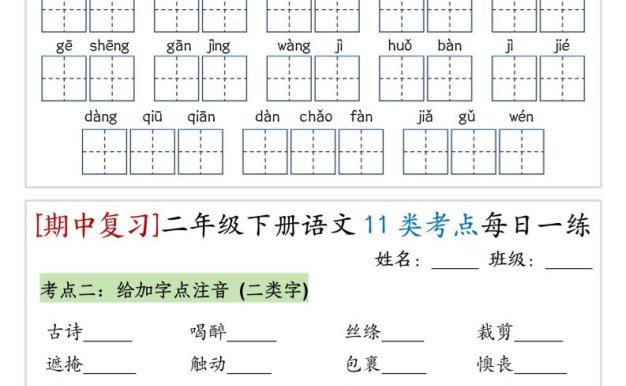 (期中復習)二年級下冊語文11類考點每日一練(10頁20練)-高清無水印完整版本
