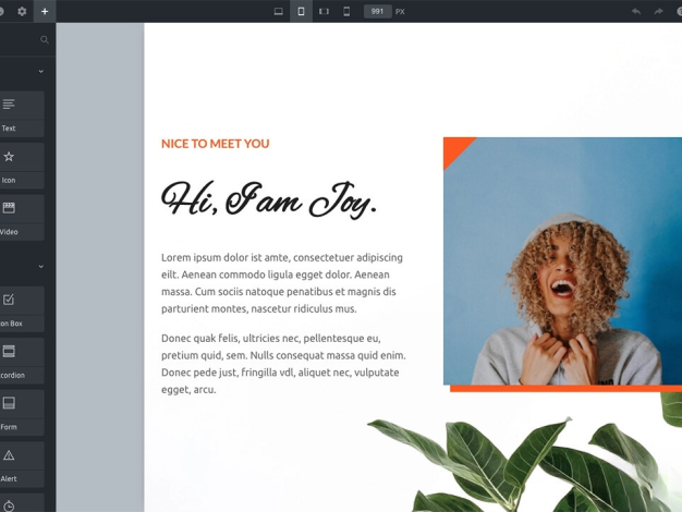 WordPress主題Bricks v1.9 破解版